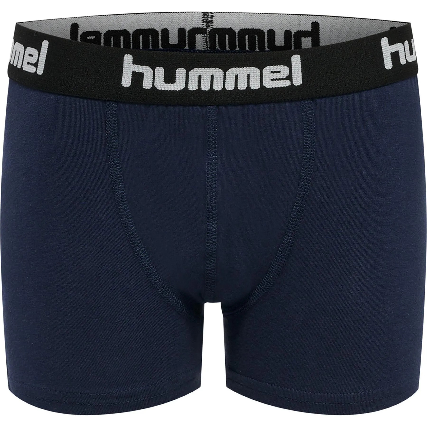 Calzoncillos para niños Hummel hmlNOLAN (x2)