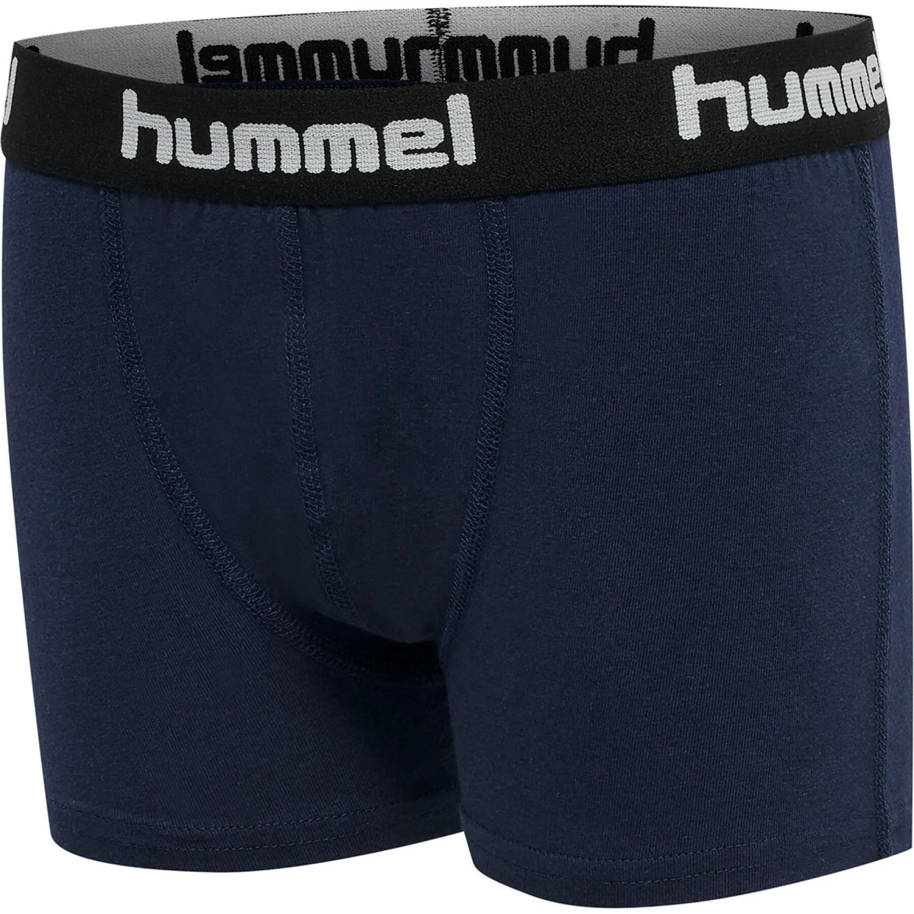 Calzoncillos para niños Hummel hmlNOLAN (x2)