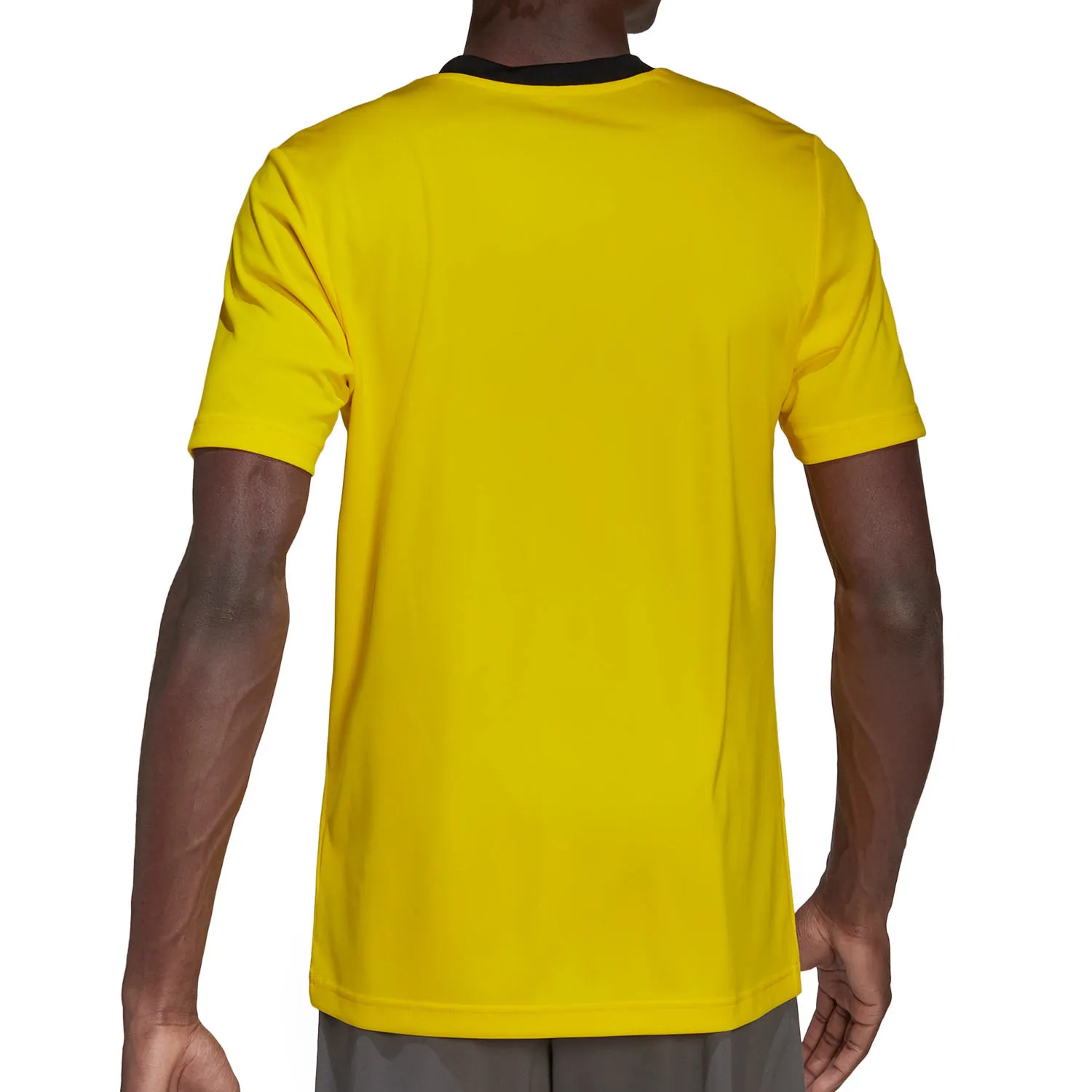 Camiseta adidas Entrada 22