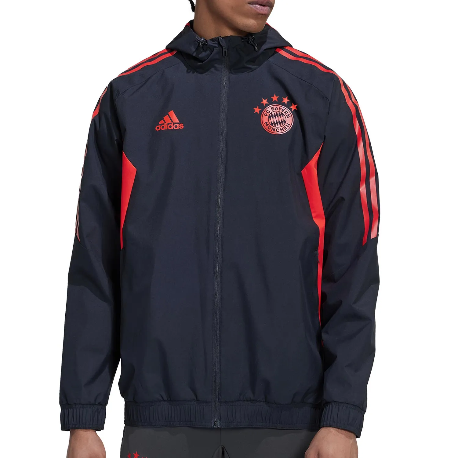 Chaqueta adidas Bayern All Weather staff