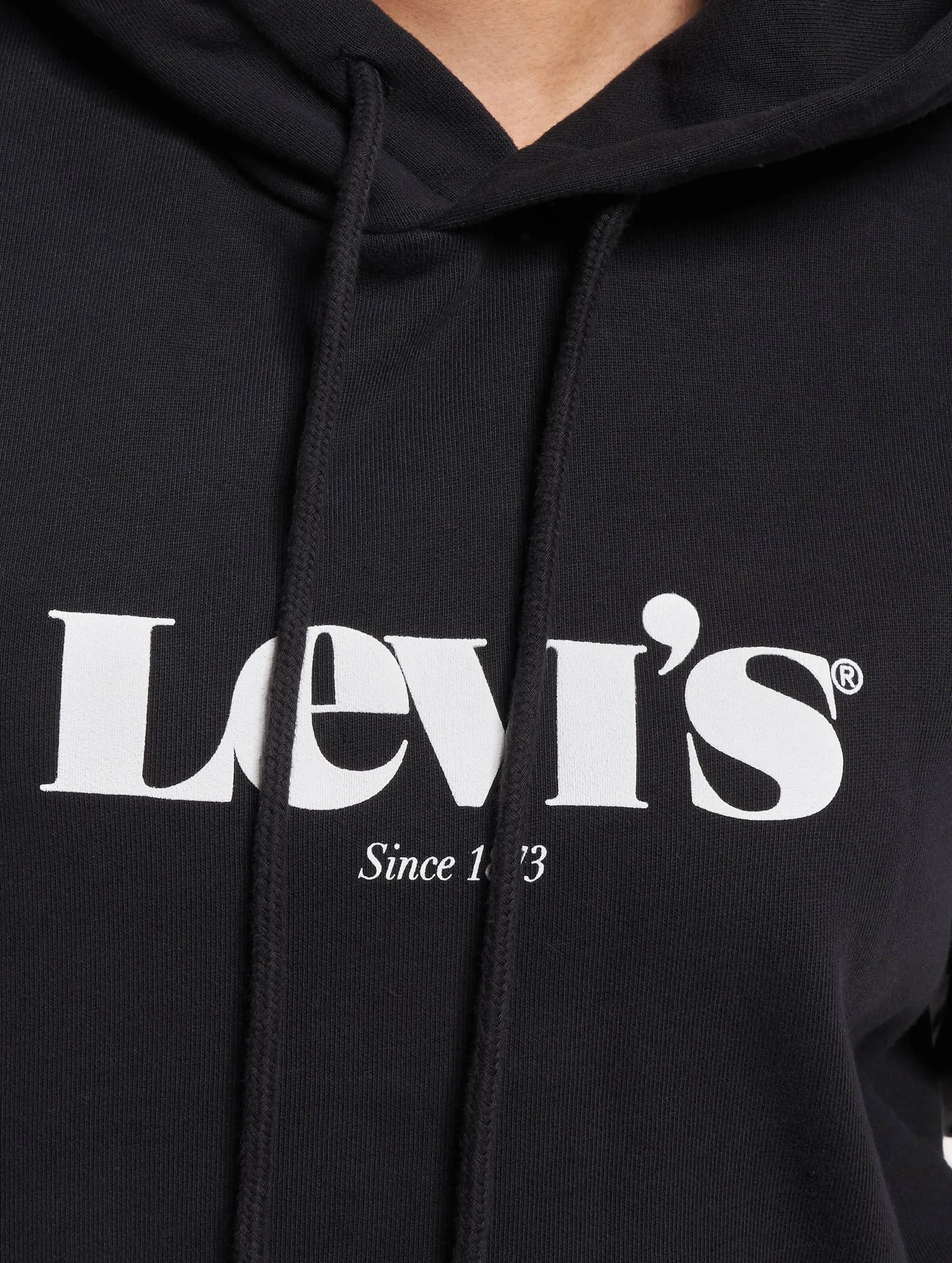 Levi's Levi's Graphic Standard Hoody