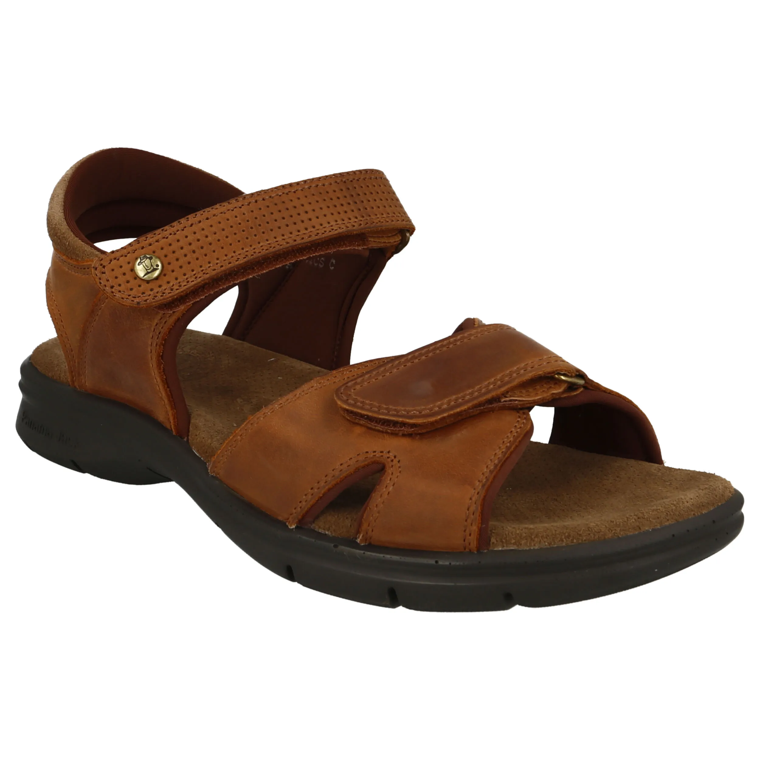 Sandalias Hombre Panama Jack SANDERSBASICC4